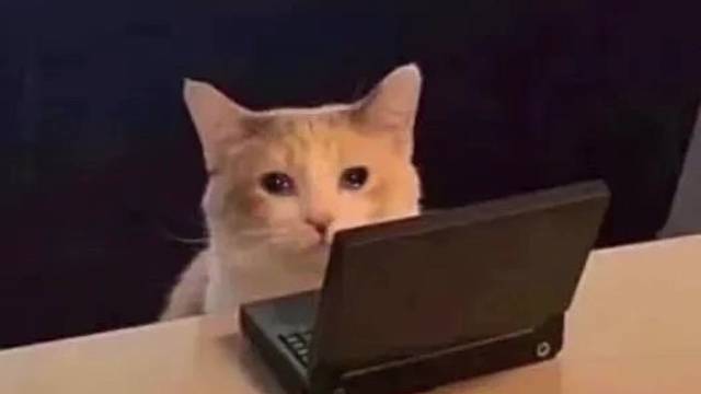 后裔的玄学大招