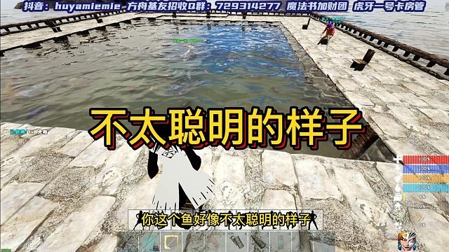 【咩咩】看起来不太聪明