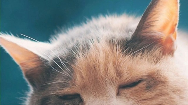 正在学习的新歌