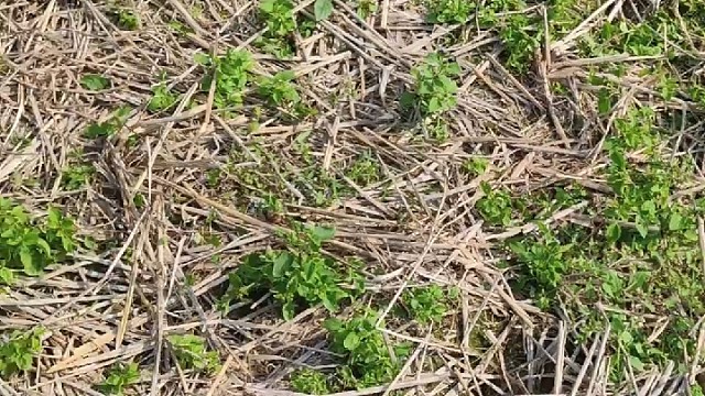 家庭聚会，今晚休息