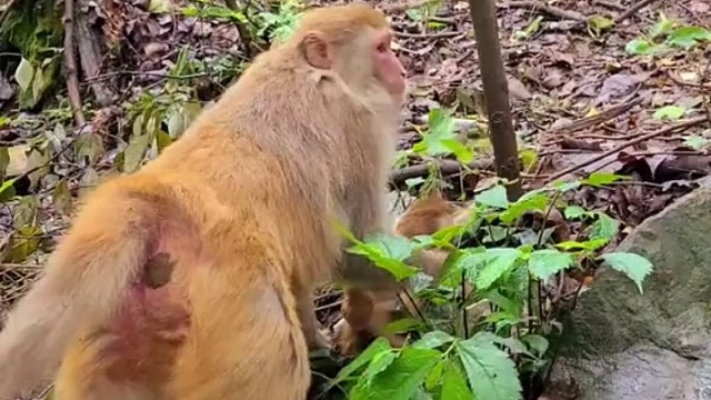 好可爱呀有妈的孩子是个宝