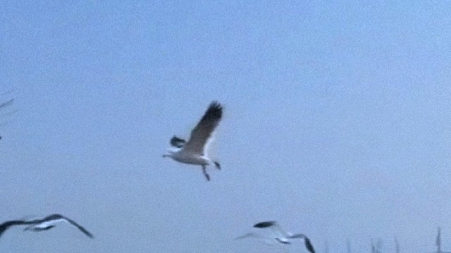 你是那个心软的神吗