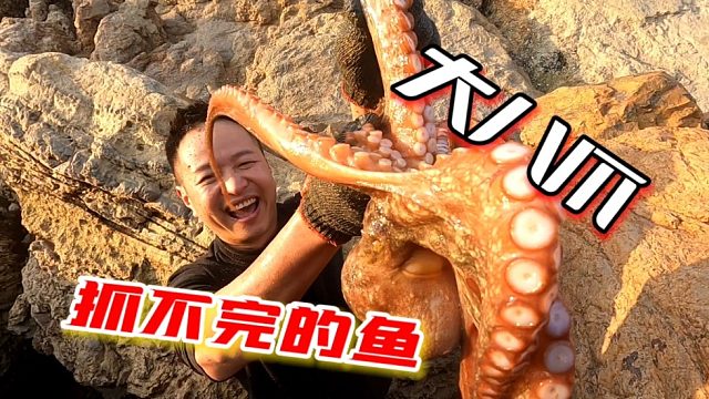 这是抽到鱼窝了吗？这么不起眼的水坑能有这么多鱼，抓都抓不完