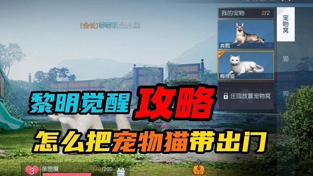 【黎明觉醒：生机】：怎么把宠物猫带出门