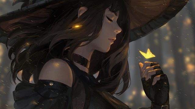 帕德玛夏护法视角。