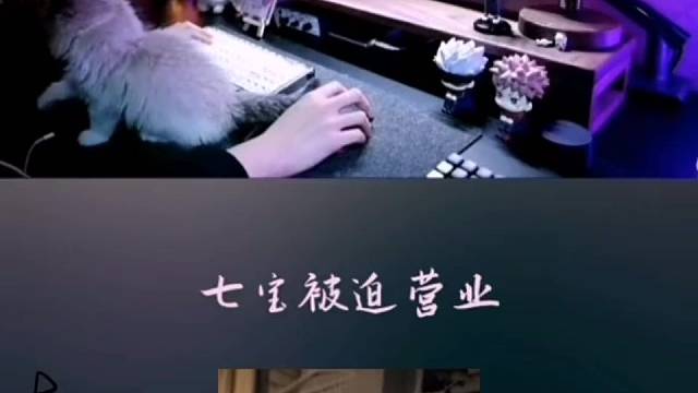 七宝：讨厌没有边界感的主播哈哈哈哈