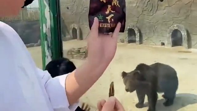 熊：感觉被锁喉