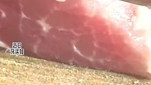 牙买加，买来的新鲜猪肉用刀一切竟“吐出”白