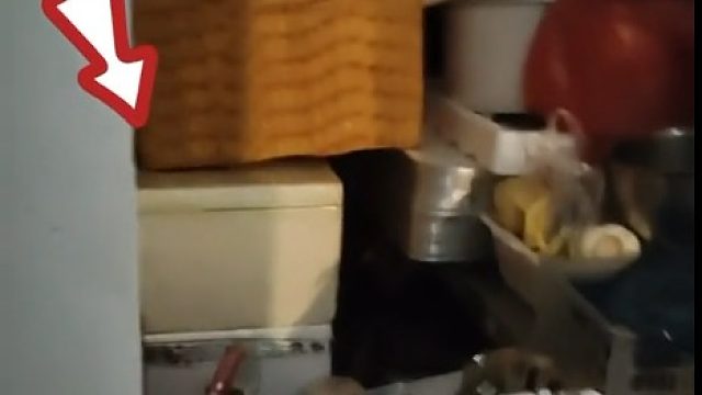 女子凌晨回新家却无法进门，家门口被邻居堆满了杂物，当事人：两年了一直都这样