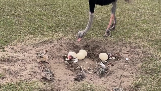 宝宝！妈妈来帮你一把！