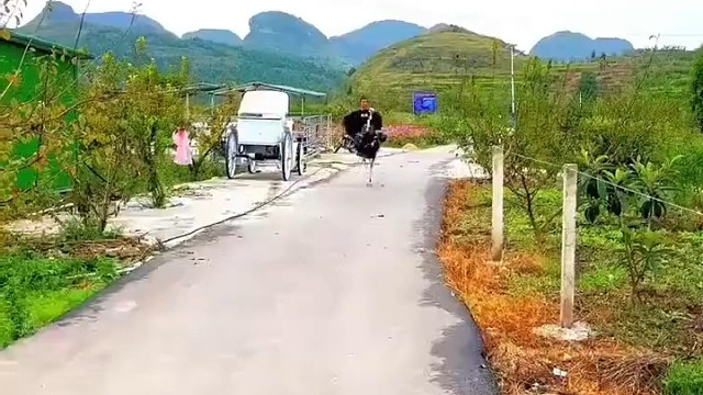 有没有高大上的组合名。