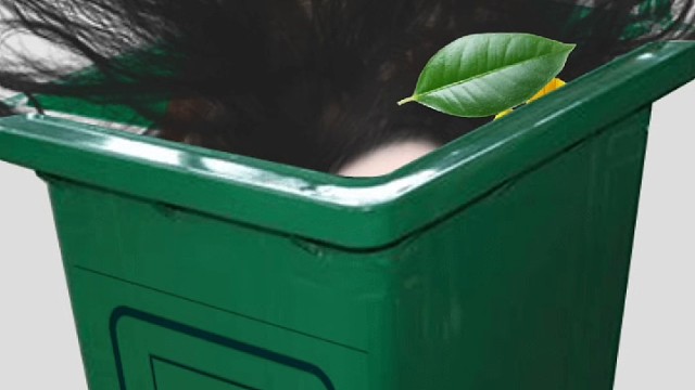 垃圾桶里的妹子