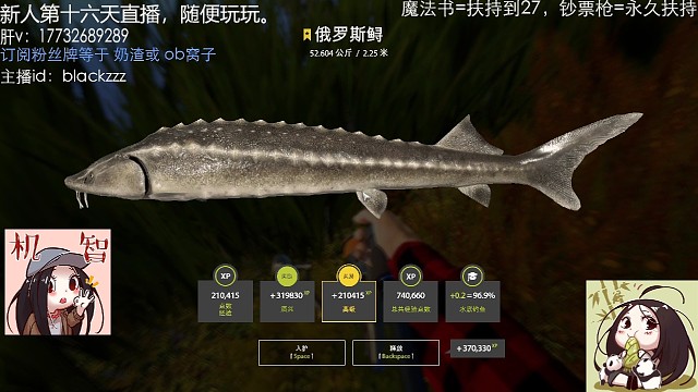 第一次第一条星毛鲟