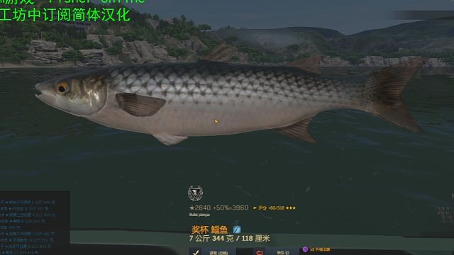 渔夫在线、36图鲻鱼