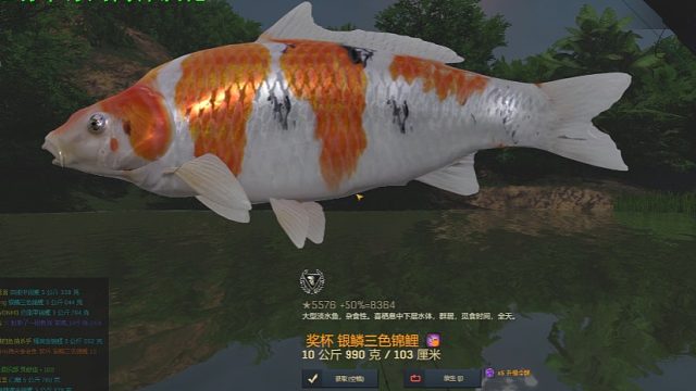 渔夫在线、中国DLC银鳞三色锦鲤