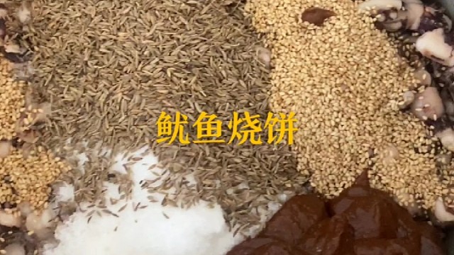 姚老太鱿鱼烧饼