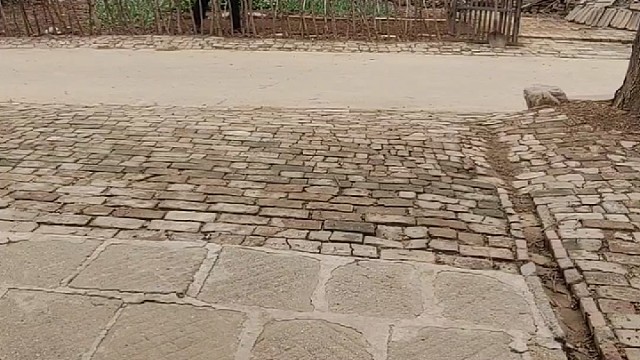 大雪过后下辣椒苗，刚盖好，下了一场沙尘雨