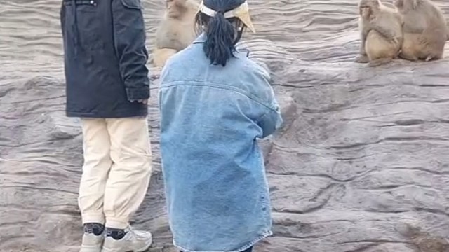 寻山没错的，前面两座后面一座