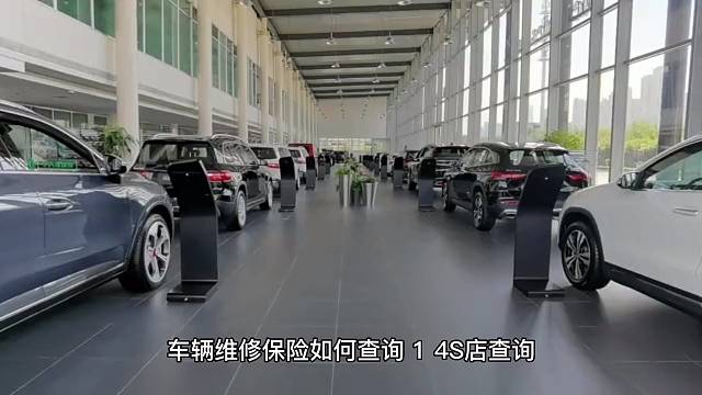 车辆维修保养查询