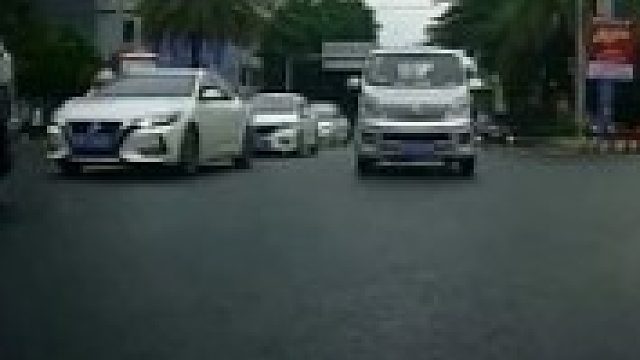 马路上的日常，你遇到过几个？