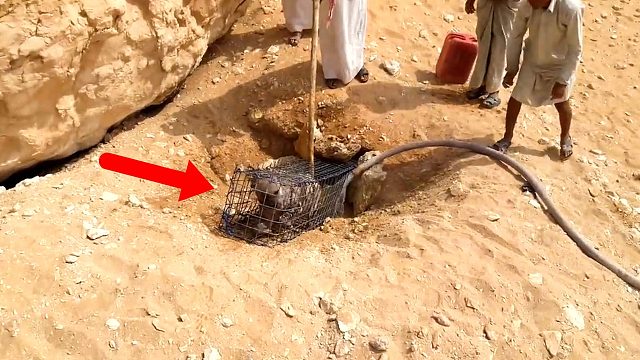 沙漠里出现一个大洞，朝里面猛灌水，竟蹿出一头猛兽