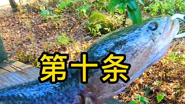 第十条  爆口大头老黑