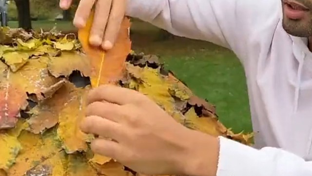 不得不说老外是有点东西的