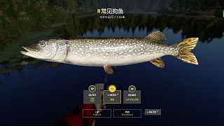 星狗！下飯！