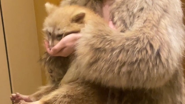 晒晒你的毛孩子