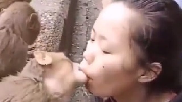 这个女子太猛了用嘴巴给猴子喂食