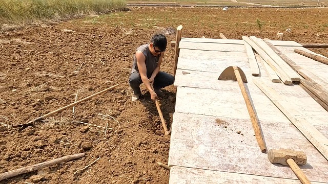 打造心目中的菜园子，木屋建造