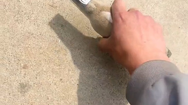 字里行间都灌满了这两个字