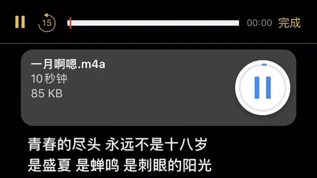 热烈的少年