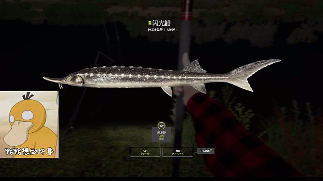 手竿绝对30kg闪光鲟