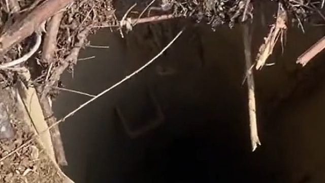 女子挖野菜枯井中发现“怪物”，伸头一看吓得不轻