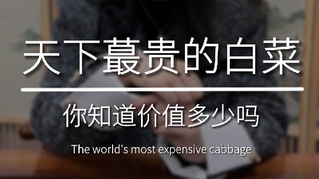 天下蕞贵的白菜