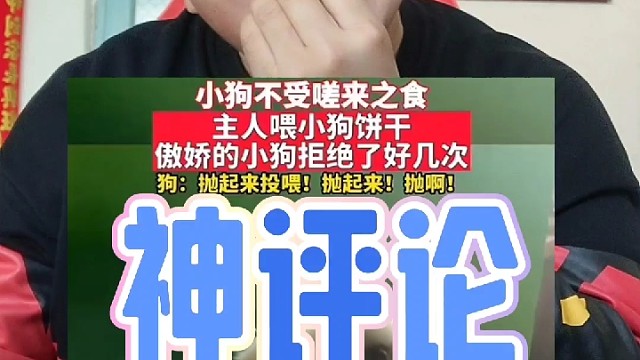 盘点评论区里的神评论