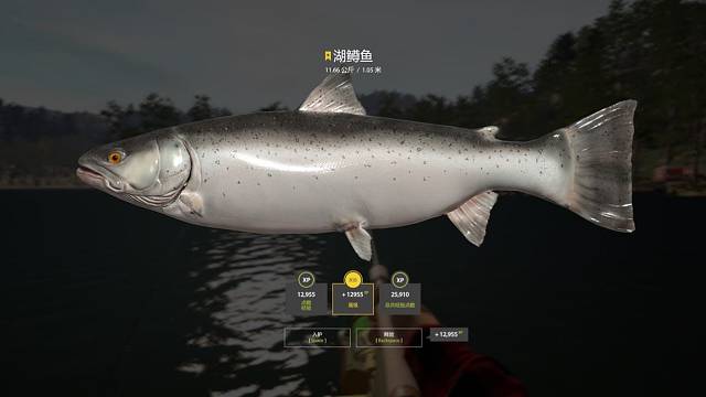 16图低温拖钓同一位置二连星湖鳟