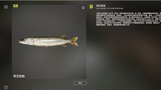 又上星狗啦！