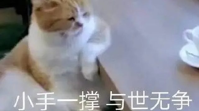 吸汤面-于世防守神月，反推，大道MG视角，附加故乡区九州防守倾城，观战讲解视角1