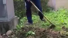 男子锄草不小心挖破水管找不到水阀就先拿石头压着