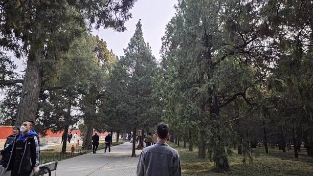 我是英雄联盟收到的新主播。