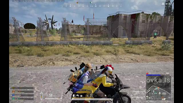 主打的就是自信