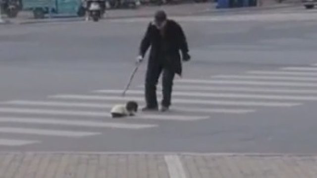 狗狗红绿灯没有跟上主人，主人返回装样子空打狗狗，随后抱进怀里一起走