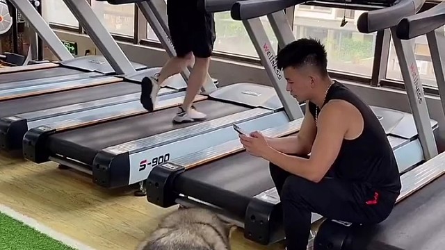 这年头，连狗都开始健身了[允悲][