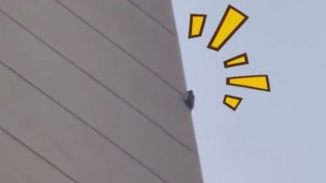 大清早的，你怎么扰民啊