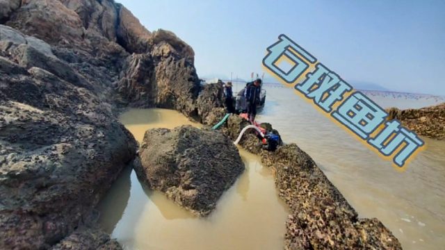 这是抽到石斑鱼坑吗，光石斑鱼就有五种，最贵的一条就值500块