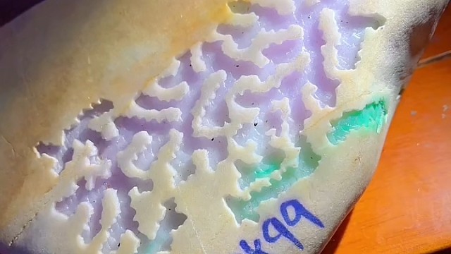 我发布了一个新视频，快来围观吧！