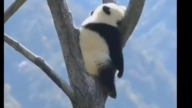 不动如山吃饭最大