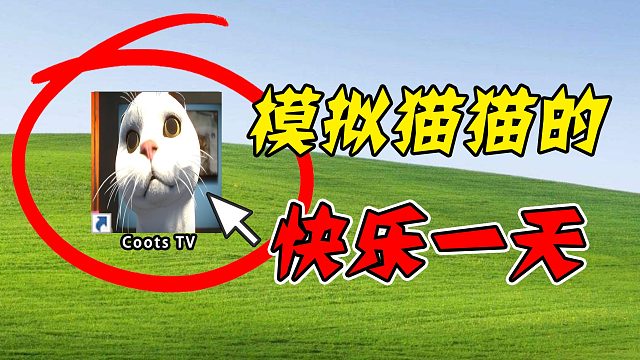 模拟猫猫的快了一天